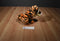 Disney Store Tigger Plush