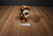 Disney Store Tigger Plush
