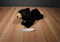 Aurora Miyoni Black Bear Beanbag Plush