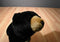 Aurora Miyoni Black Bear Beanbag Plush