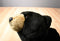 Aurora Miyoni Black Bear Beanbag Plush