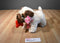 Hugfun Valentines Pug Dog Holding a Red Bone Plush