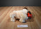Hugfun Valentines Pug Dog Holding a Red Bone Plush