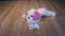 Ty Classic Neon Rainbow Saint Bernard Yodeler 2014 Beanbag Plush