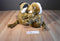 Commonwealth Hugging Leopards Plush