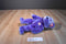 Ty Beanies Buddies Clubbie IV 2001 Beanbag Plush