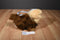 Bob Gedan Yorkie Yorkshire Terrier 2009 Bag Plush