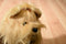 Bob Gedan Yorkie Yorkshire Terrier 2009 Bag Plush