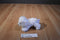 Aurora Fancy Pals Bichon Maltese Poodle Plush in Blue Carrier Bag