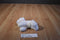Aurora Fancy Pals Bichon Maltese Poodle Plush in Blue Carrier Bag