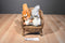 Aurora Flopsies Nutsie and Nutty Squirrels Beanbag Plush
