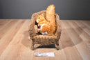 Aurora Flopsies Nutsie and Nutty Squirrels Beanbag Plush