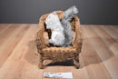Aurora Flopsies Nutsie and Nutty Squirrels Beanbag Plush