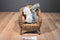 Aurora Flopsies Nutsie and Nutty Squirrels Beanbag Plush