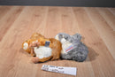 Aurora Flopsies Nutsie and Nutty Squirrels Beanbag Plush