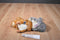 Aurora Flopsies Nutsie and Nutty Squirrels Beanbag Plush