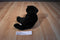Korean Designs Lovingly Yours Newborn Panther Cub Plush