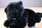 Korean Designs Lovingly Yours Newborn Panther Cub Plush