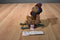 Russ Sleds Brown Teddy Bear Plush on a Wooden Sled