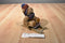 Russ Sleds Brown Teddy Bear Plush on a Wooden Sled