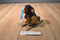 Russ Sleds Brown Teddy Bear Plush on a Wooden Sled