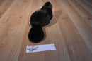 Wishpets Bobby Beaver 2004 Plush