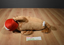 The Petting Zoo St. Paul Como Zoo Sparky Seal 2010 Plush
