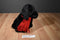 Sugar Loaf Black Lab Puppy Dog With Red Scarf Plush