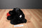 Sugar Loaf Black Lab Puppy Dog With Red Scarf Plush