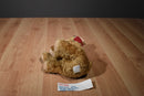 Hallmark Bunnies by the Bay Brown Dog  Buddy Hollyday 2002 Beanbag Plush