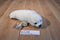 K & M White Harp Seal Pup 1997 Plush