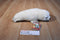 K & M White Harp Seal Pup 1997 Plush