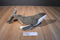 Wild Republic Gray and White Humpback Whale 2012 Beanbag Plush