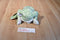 Ganz Webkinz Green and White Spotted Frog HM142 Beanbag Plush Sealed Code