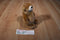 Russ Charmin Brown Bear Plush