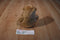 Russ Charmin Brown Bear Plush