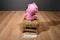 TGFC Care Bears Hopeful Heart Bear 2005 Beanbag Plush