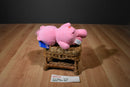TGFC Care Bears Hopeful Heart Bear 2005 Beanbag Plush