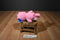TGFC Care Bears Hopeful Heart Bear 2005 Beanbag Plush