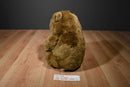 Dakin Lou Rankin Jasper the Brown Grizzly Bear 1990's Plush