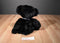 Russ Welby Black Teddy Bear Beanbag Plush