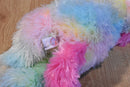 Ty Classic Yodeler Neon Rainbow St. Bernard 2016 Beanbag Plush