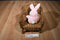 Russ Flopsy Chippy Pink Bunny Rabbit Purple Bunny Slippers Plush