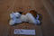 Aurora Mini Homer the Beagle Beanbag Plush