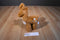Manhattan Voyagers Emmie the Deer Fawn 2016 Beanbag Plush