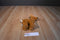 Manhattan Voyagers Emmie the Deer Fawn 2016 Beanbag Plush