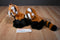 ABC Bakers Red Panda Beanbag Plush