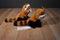 ABC Bakers Red Panda Beanbag Plush