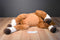Goffa Brown and White Pinto Horse Plush