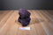 Russ Bearberry Purple Teddy Bear Beanbag Plush